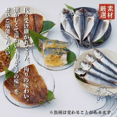 鐘崎漁師のおふくろの味 干物セット 6袋【道の駅むなかた】_HA1820