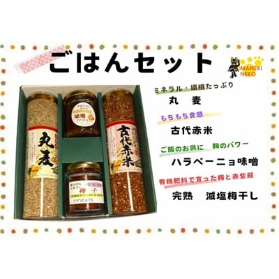 【一週間以内に発送】〈ギフト〉ごはんセット【アグリCATS】_HA1846