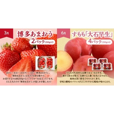 【定期便/年5回】JAむなかた厳選!人気フルーツ定期便【JAむなかた ほたるの里】_HB0164