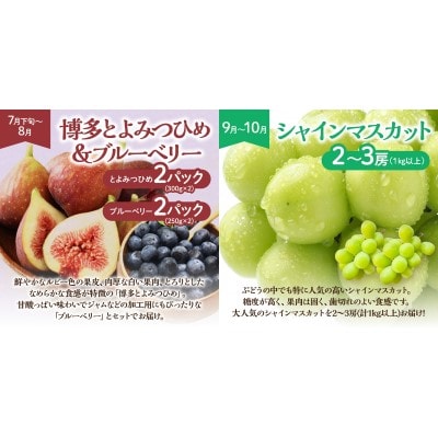 【定期便/年5回】JAむなかた厳選!人気フルーツ定期便【JAむなかた ほたるの里】_HB0164