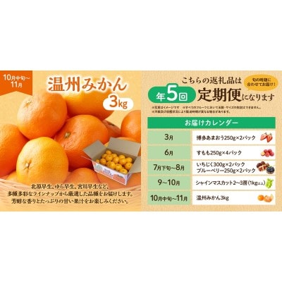 【定期便/年5回】JAむなかた厳選!人気フルーツ定期便【JAむなかた ほたるの里】_HB0164