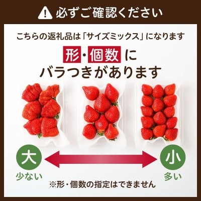 【アフター保証】 JAよりお届け!「博多あまおう」約280g×2パック_HA1937