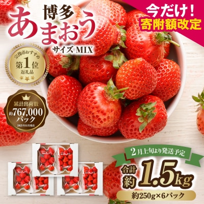 【さとふる限定】【数量限定】「博多あまおう」約250g×6パック【JAほたるの里】_HA1934