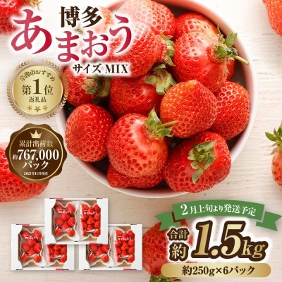 【さとふる限定】寄附額改定!「博多あまおう」約250g×6パック【JAほたるの里】_HA1934