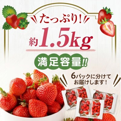 【さとふる限定】寄附額改定!「博多あまおう」約250g×6パック【JAほたるの里】_HA1962