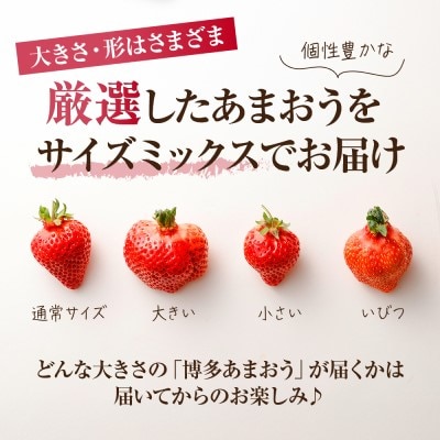 【さとふる限定】【数量限定】「博多あまおう」約250g×6パック【JAほたるの里】_HA1934