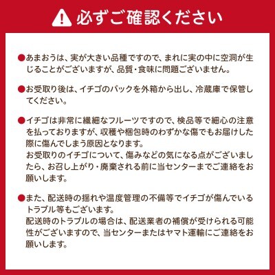 【さとふる限定】寄附額改定!「博多あまおう」約250g×6パック【JAほたるの里】_HA1962