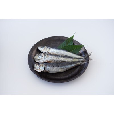 干物セット 丸干しイワシ 3匹入×3袋【宗像漁協共同組合】_HA1734