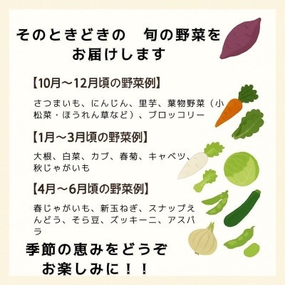【さとふる限定】農家の不揃いお野菜セット【カラダ生きるみきふぁーむ】_HA1860
