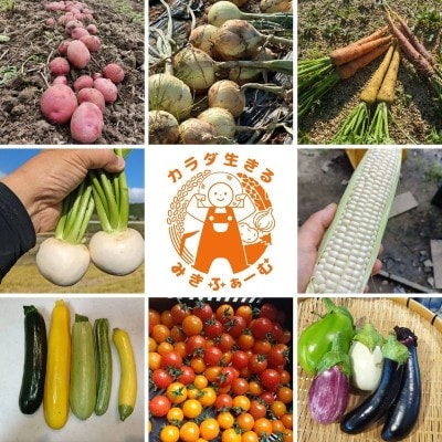 【さとふる限定】農家の不揃いお野菜セット【カラダ生きるみきふぁーむ】_HA1860