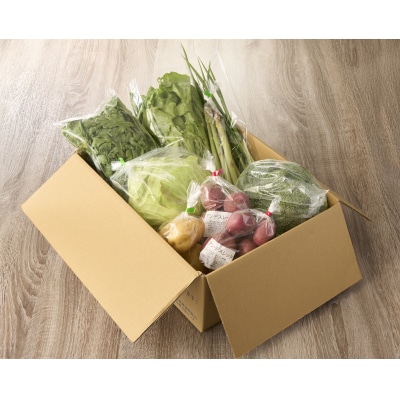 【さとふる限定】農家の不揃いお野菜セット【カラダ生きるみきふぁーむ】_HA1860