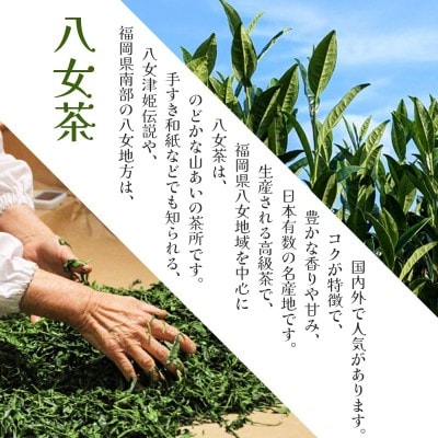 八女茶 深蒸し茶煎茶 100g【JSE】_HA1866