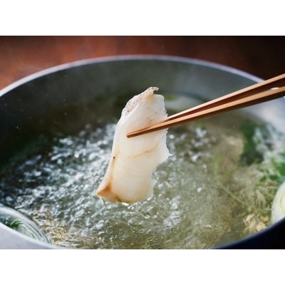 玄界灘産天然くえしゃぶ(2～3人前)【宗像漁業協同組合】_HA1930
