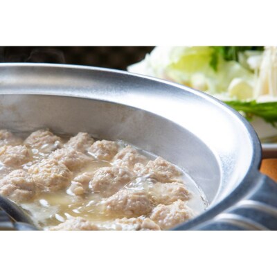 さもんじ謹製 博多水炊きセット(2～3人前)【博多水炊きさもんじ】_HA1767