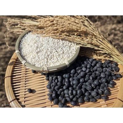 【期間限定】【年内配送】黒豆ともち米 神郡宗像の縁起物【みきふぁーむ】_HA1680