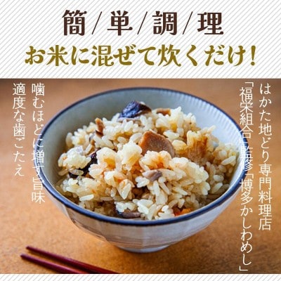 炊き込みご飯の素 博多かしわめし 2～3人前(2合用)【株式会社JSE】_HA1861