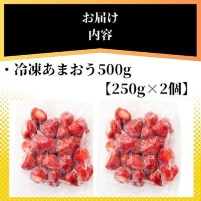 福岡県産 冷凍あまおう500g(250g×2個)【株式会社木村食品】_HA1739