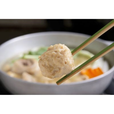 博多若杉水炊きセット(4～5人前)【株式会社Skyward】_HA1775