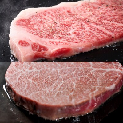 黒毛和牛(博多和牛)【A4～A5ランク】ヒレ300g&サーロイン500g【木村食品】_HA1745