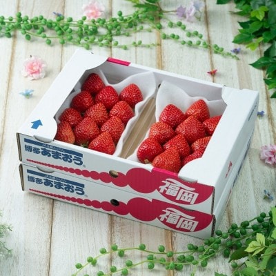 【2026年2月より順次発送】福岡産【春】あまおう4パック【南国フルーツ株式会社】_HA1906