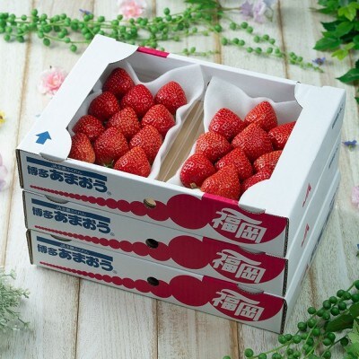 【2026年2月より順次発送】福岡産【春】あまおう6パック【南国フルーツ株式会社】_HA1907