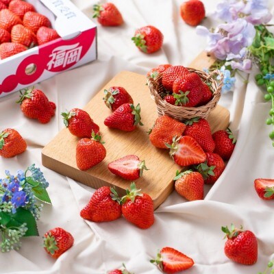 福岡産【冬】あまおう2パック(約250g～/1パック)【南国フルーツ株式会社】_HA1909