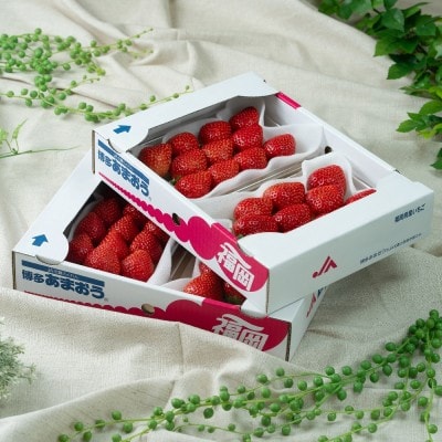 福岡産【冬】あまおう4パック【南国フルーツ株式会社】_HA1910