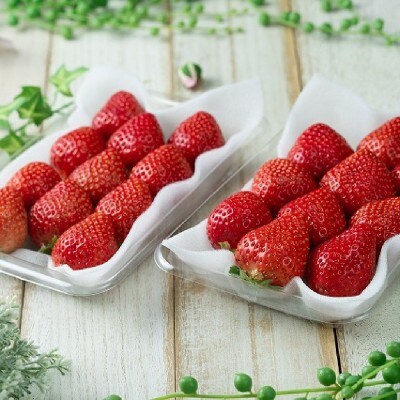 福岡産【冬】あまおうDX(デラックス)2パック【南国フルーツ株式会社】_HA1911