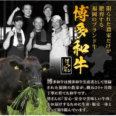 黒毛和牛 (博多和牛) 切り落とし 2.0kg(400g×5パック)【伊豆丸商店】_HA1793