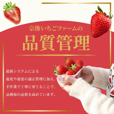 何が届くかお楽しみ!人気のいちご2品種食べ比べセット【宗像いちごファーム】_HA1785
