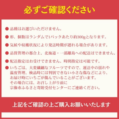 何が届くかお楽しみ!人気のいちご2品種食べ比べセット【宗像いちごファーム】_HA1785