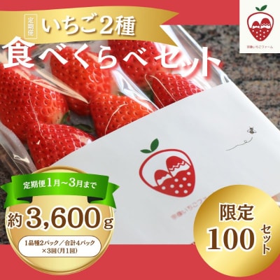 【定期便】何が届くかお楽しみ!人気のいちご2品種食べ比べ3ヶ月定期便 約300g×4P_HB0213