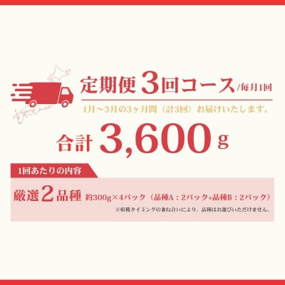 【定期便】何が届くかお楽しみ!人気のいちご2品種食べ比べ3ヶ月定期便 約300g×4P_HB0213