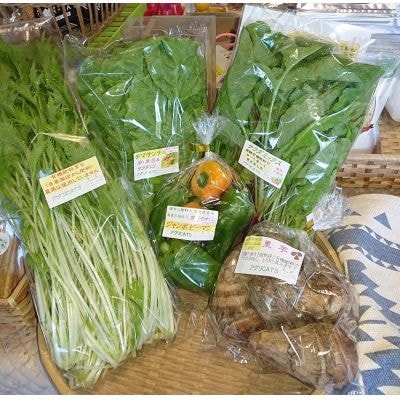 【定期便/年4回 】有機肥料で育った季節の農産物&加工品のセット【アグリCATS】_HB0115