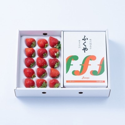 �y2025�N12����菇�������z���܂���12�`15��&�����q540g�y�썑�t���[�c�z_HA1903