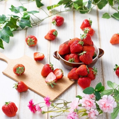 【2025年12月より順次発送】あまおう 約300g(12～15粒)【南国フルーツ】_HA1904