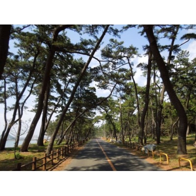 【東京宗像会・会員限定 】出前宗像満喫チケット_HA1951