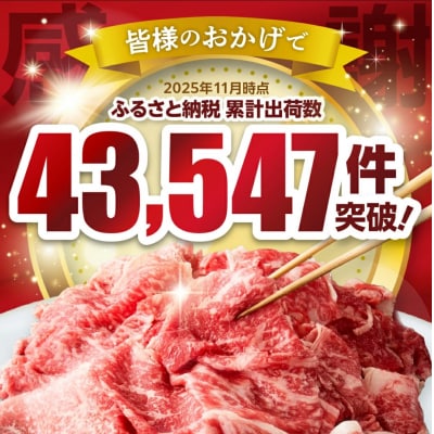 黒毛和牛(博多和牛)切り落とし1.0kg(200g×5パック)【伊豆丸商店】_HA1956
