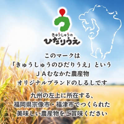 【令和7年産】わがまち育ち 無洗米 ひのひかり 5kg_HA1960