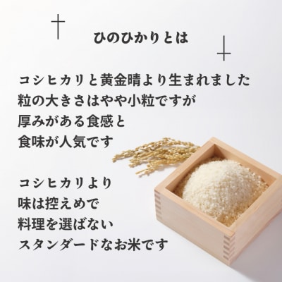 【令和7年産】わがまち育ち 無洗米 ひのひかり 10kg_HA1961