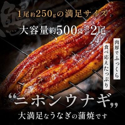 うなぎ蒲焼き2尾セット(約250g×2尾セット)【魚住商店】_HA1964