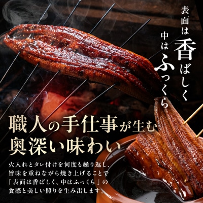 うなぎ蒲焼き2尾 計500g以上(250g以上×2尾)【魚住商店】_HA1964