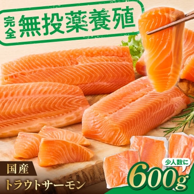 無投薬 国産 トラウトサーモン 小分け 600g以上 刺身用【宗像陸上養殖】_HA1982