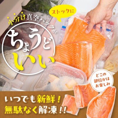 無投薬 国産 トラウトサーモン 小分け 600g以上 刺身用【宗像陸上養殖】_HA1982