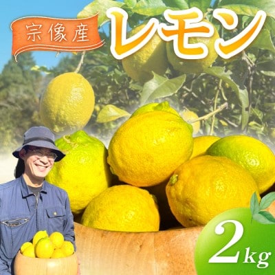 【11月～5月順次発送】宗像産レモン2kg【道の駅むなかた】_HA1817