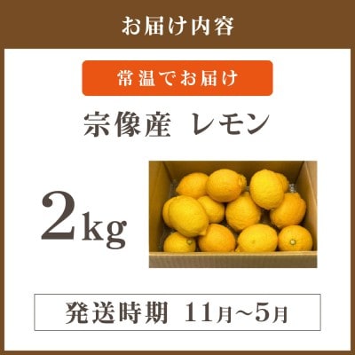 【11月～5月順次発送】宗像産レモン2kg【道の駅むなかた】_HA1817