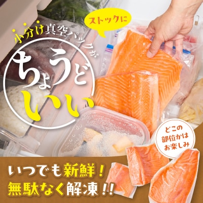 無投薬 国産 トラウトサーモン 小分け 1kg以上 刺身用【宗像陸上養殖】_HA1983