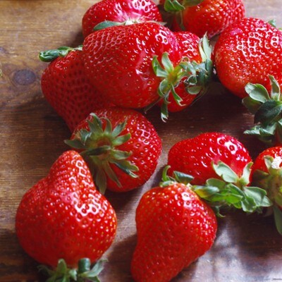 福岡県産いちご「あまおう」270g×4パック【hurrah.】_HA1974