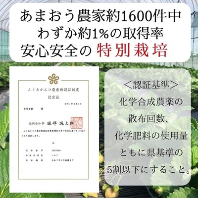 【先行予約受付中】特別栽培あまおう2パック(サイズミックス)【うるう農園】_HA1967