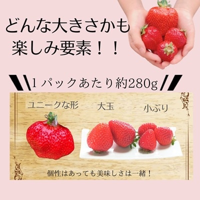 【先行予約受付中】特別栽培あまおう2パック(サイズミックス)【うるう農園】_HA1967
